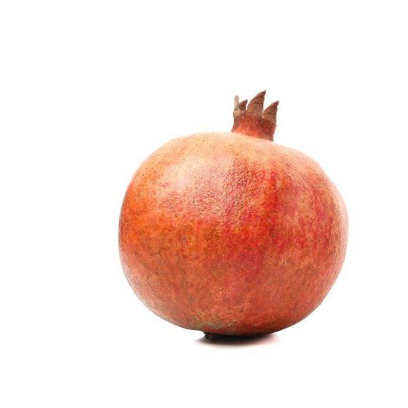 POMEGRANATE MEDIUM