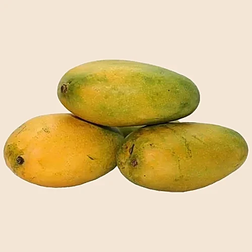 MALLIKA MANGO