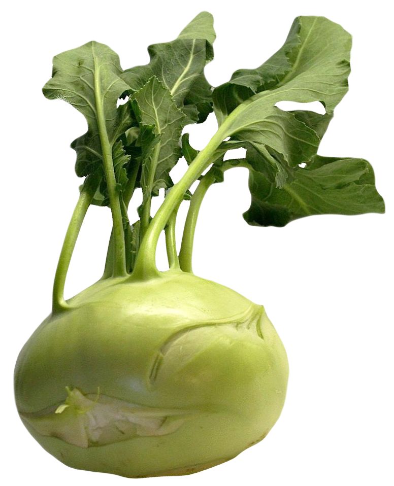 Kohlrabi